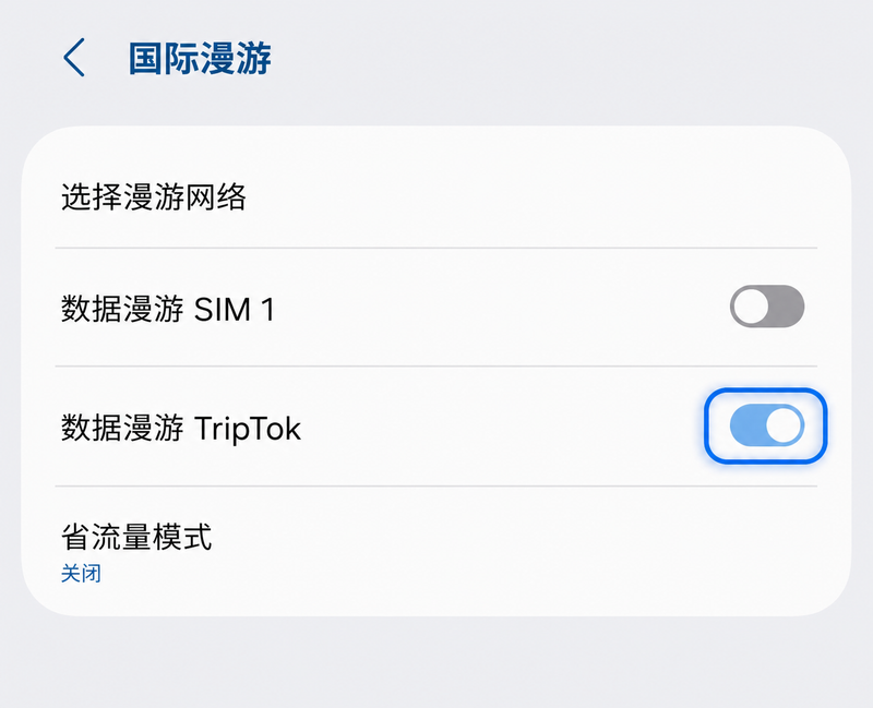 国际漫游 - 数据漫游 TripTok 开启