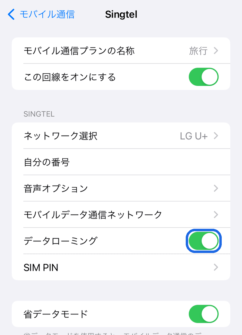 旅行用eSIMデータローミングON