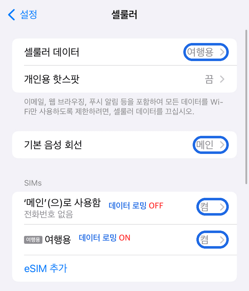 eSIM 활성화 최종 점검 완료