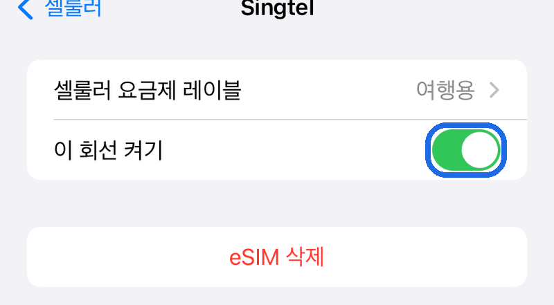 여행용 eSIM 회선 켜기