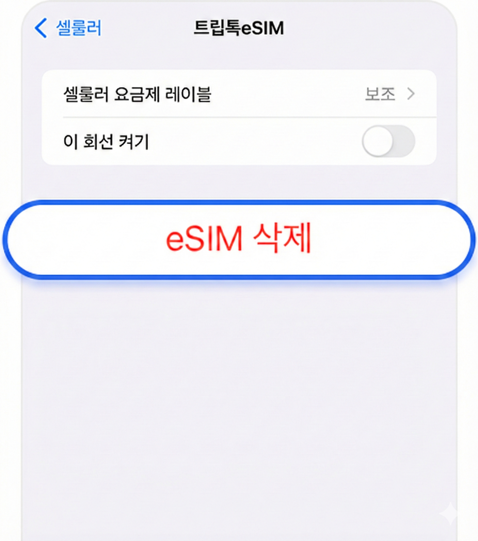 eSIM 삭제