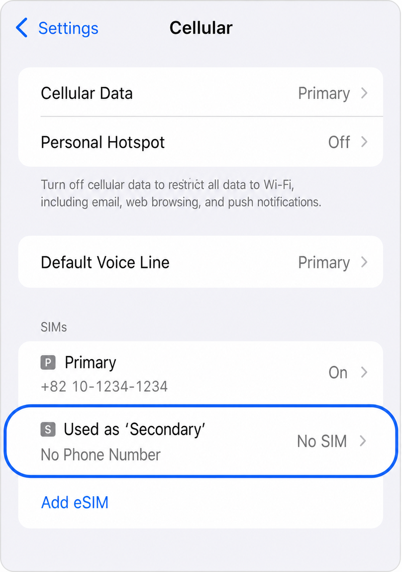No SIM status