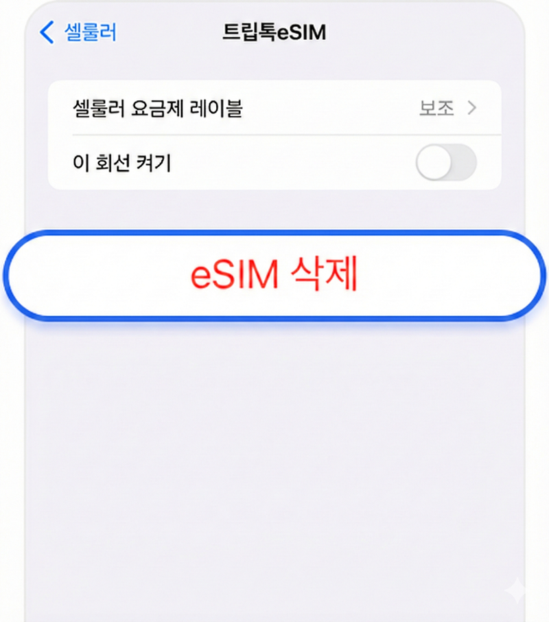 eSIM 삭제