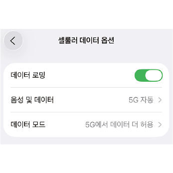 데이터 로밍 설정